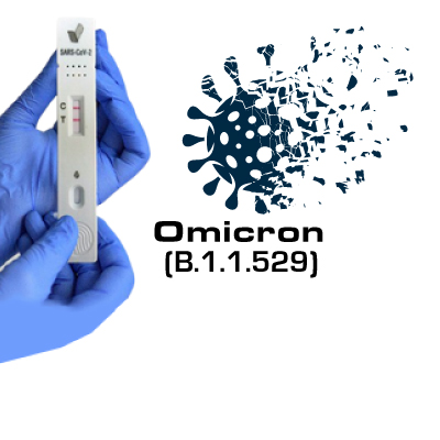 What is the COVID-19 Omicron variant (B.1.1.529) ?