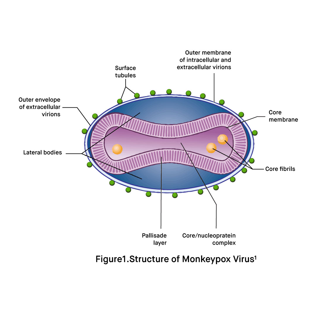 What is the natural host of monkeypox virus