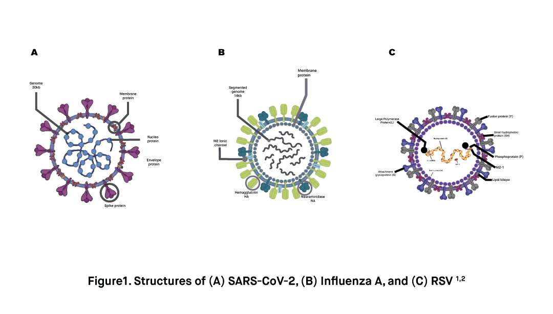 What to know about COVID 19 Influenza and RSV infections