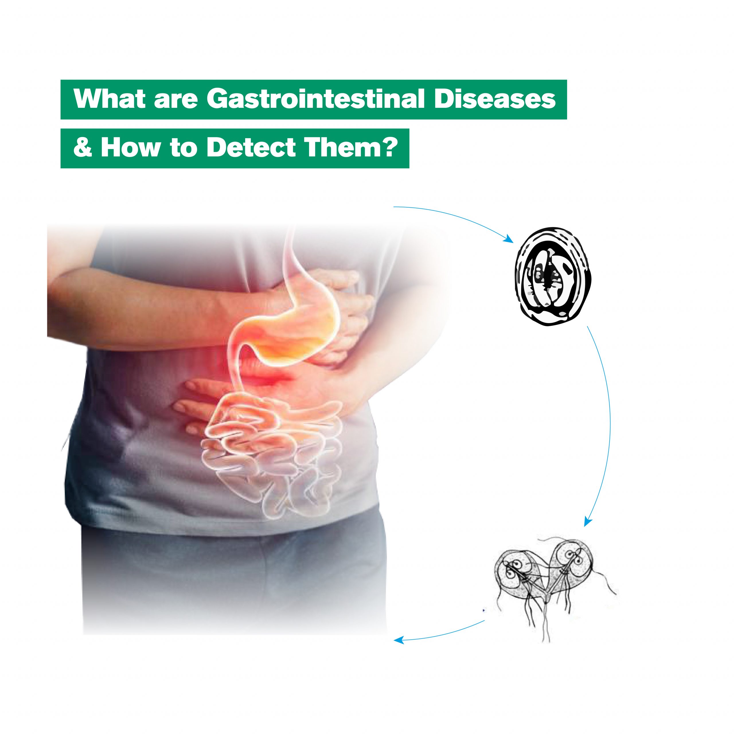 What are Gastrointestinal Diseases and How to Detect Them scaled