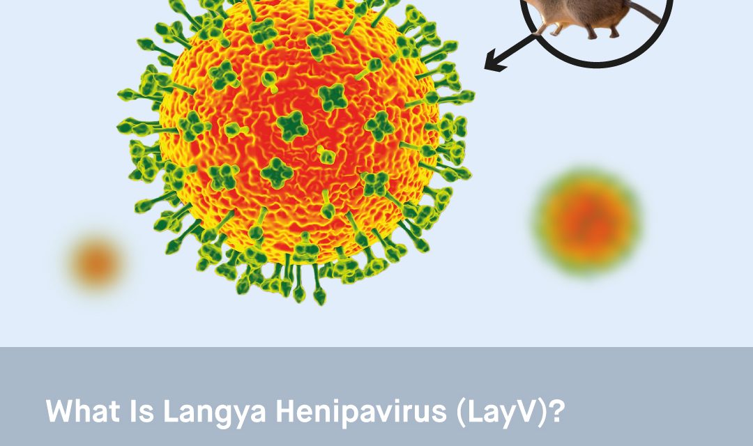What is Langya Henipavirus (LayV)?