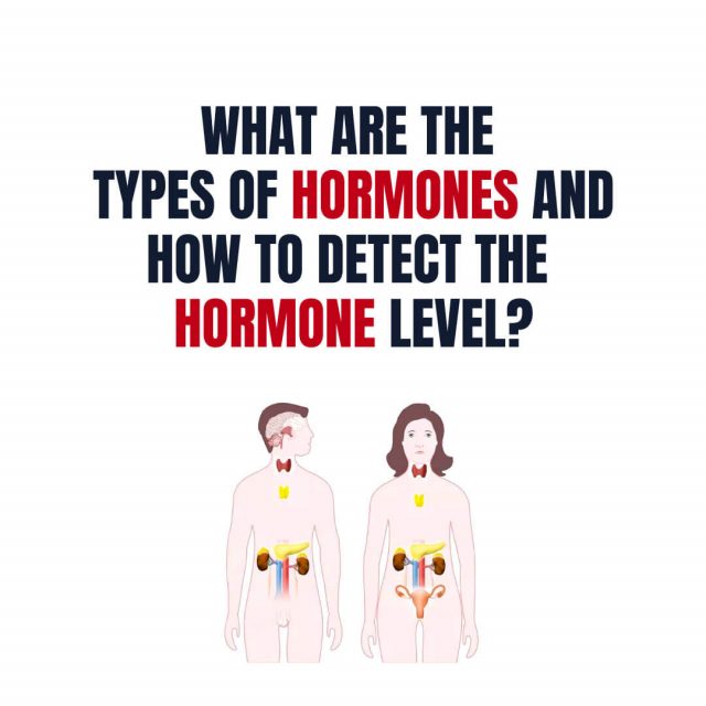 What are the Types of Hormones and How to Detect the Hormone Level