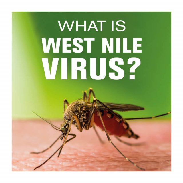 What is West Nile Virus Symptoms, Diagnosis- Treatment
