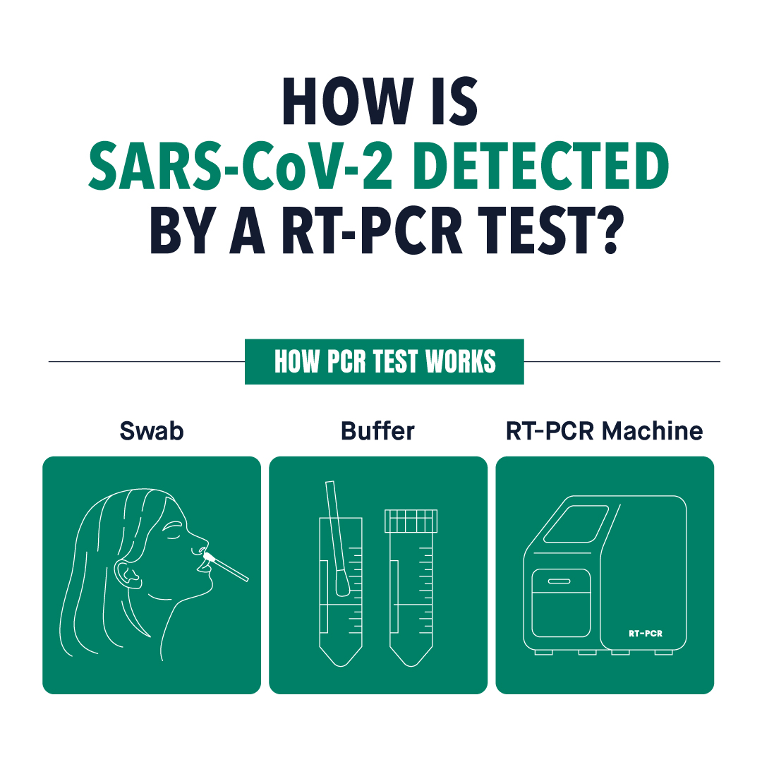 How is SARS CoV 2 Detected by a RT PCR Test