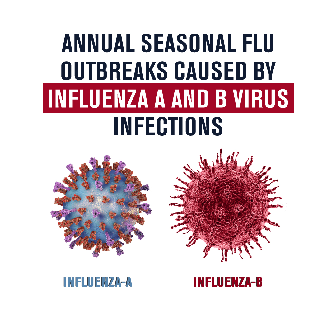 Annual Seasonal Flu Outbreaks Caused by Influenza A and B Virus Infections