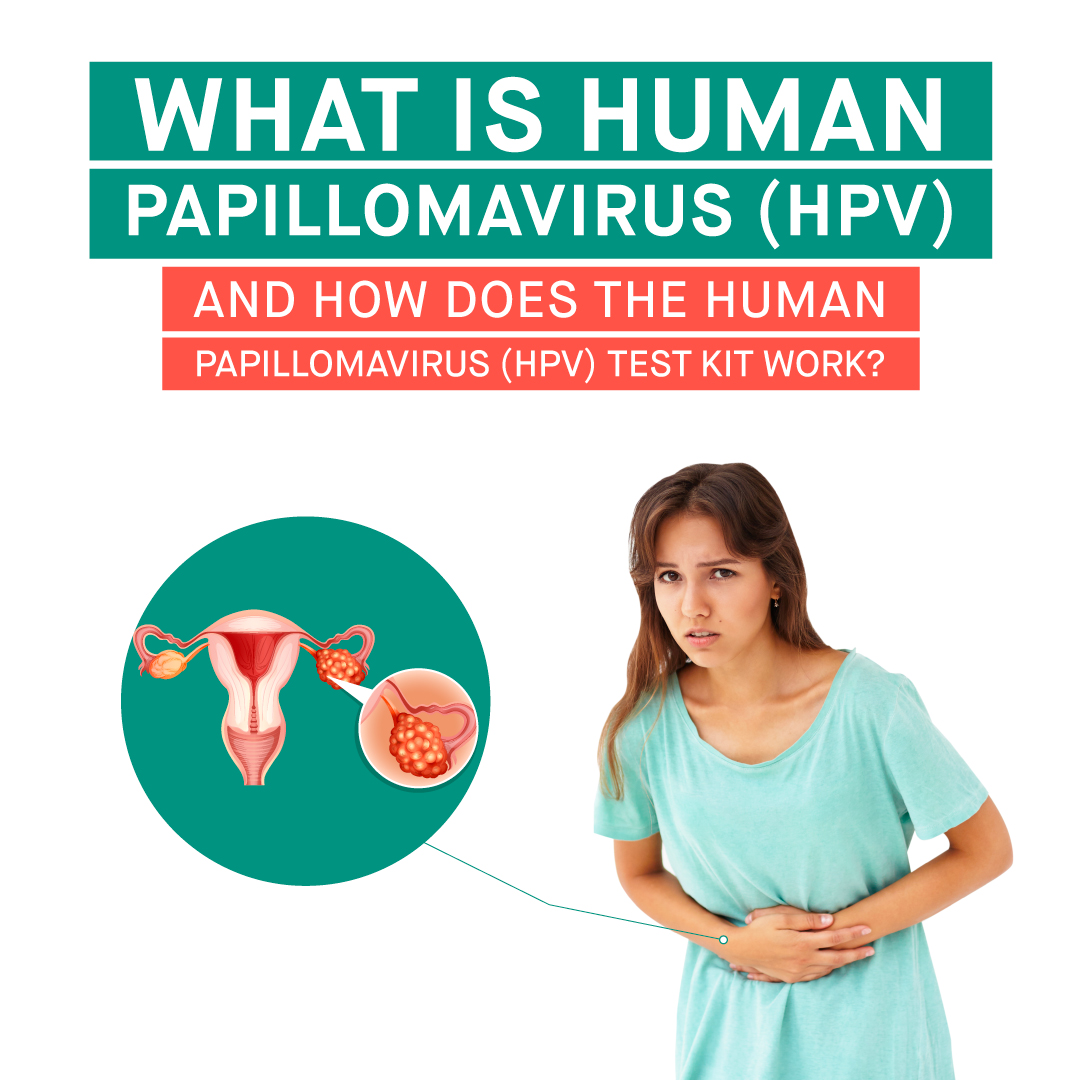 How Does the Human Papillomavirus