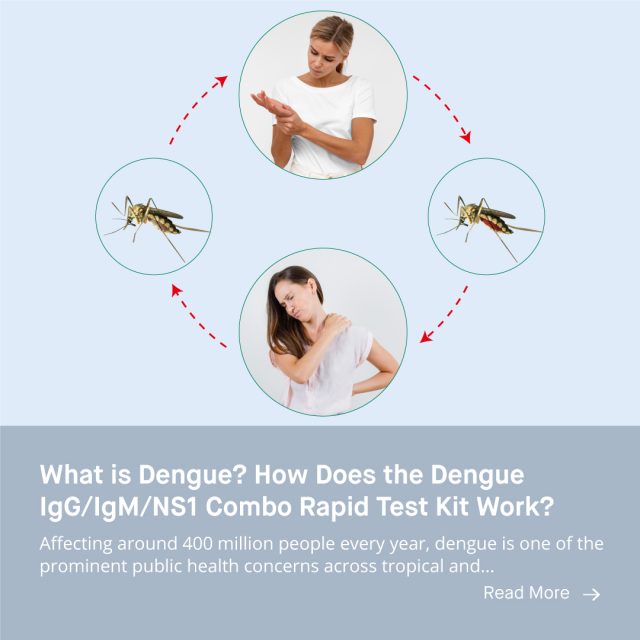 What is Dengue? How Does the Dengue IgG/IgM/NS1 Combo Rapid Test Kit ...