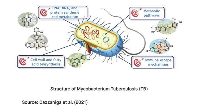 What Causes Tuberculosis TB