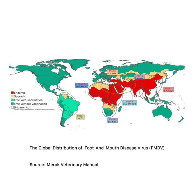 What Is Foot and Mouth Disease FMD 2