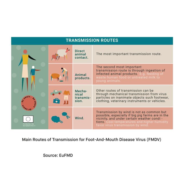 What Is Foot and Mouth Disease FMD