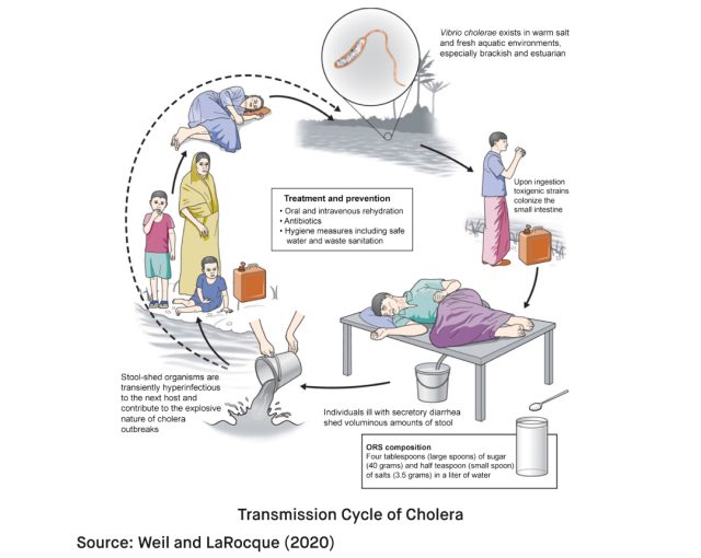 What causes Cholera 2