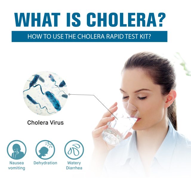 What is Cholera How to Use the Cholera Rapid Test Kit