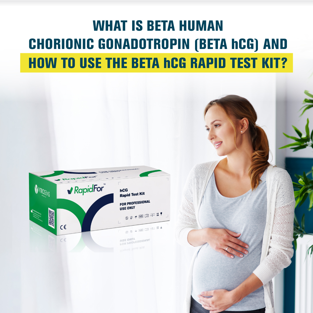 What Is Beta hCG