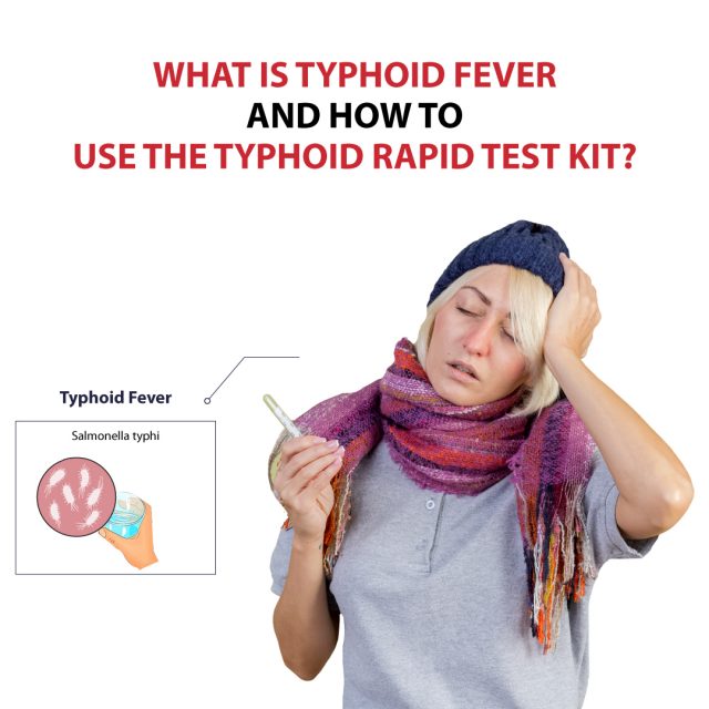 What Is Typhoid Fever and How to Use the Typhoid Rapid Test Kit