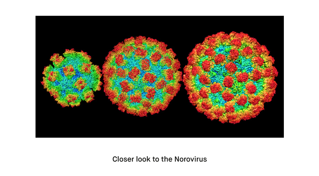 What is Norovirus 2023