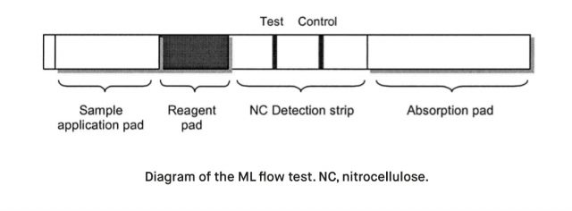 What is the Mycobacterium leprae Rapid Test Kit