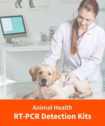 https://vitrosens.com/wp-content/uploads/2023/05/animal-health-rt-pcr-detection-kits.jpg