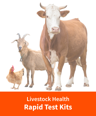 https://vitrosens.com/wp-content/uploads/2023/05/livestock-rapid-test-kits.jpg