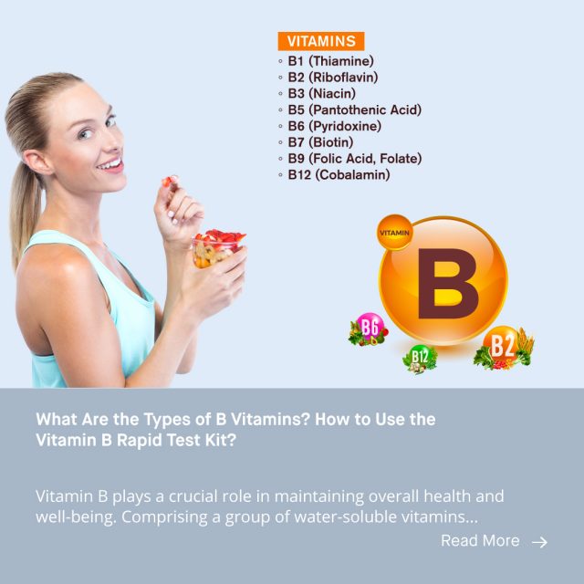 What Are the Types of B Vitamins? How to Use the Vitamin B Rapid Test ...