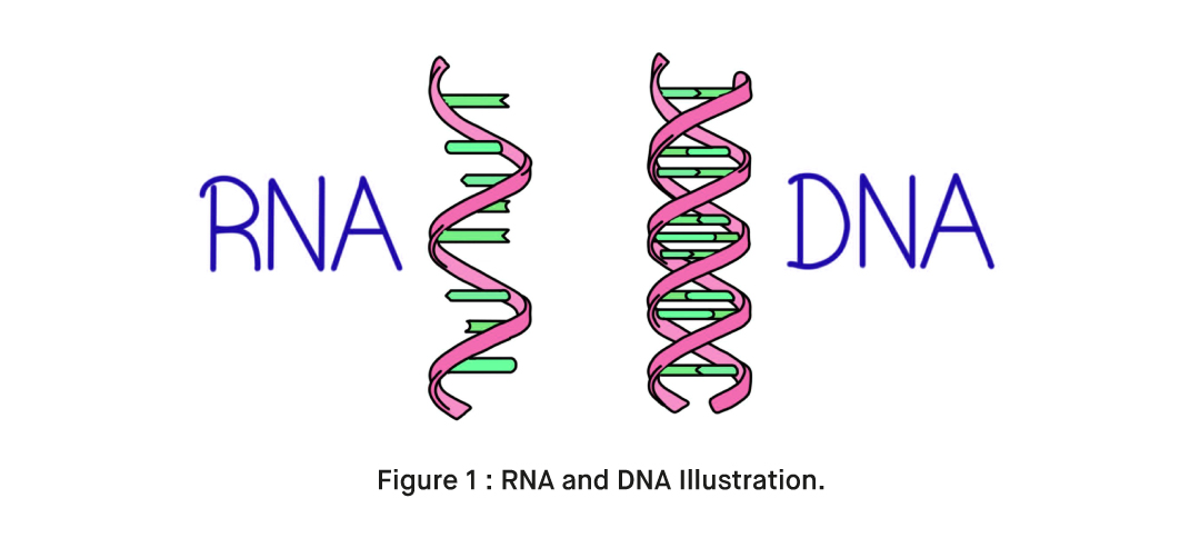 DNA and RNA purification kits