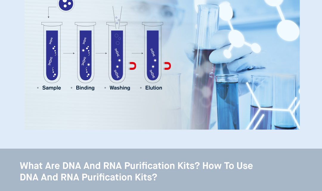 What are DNA and RNA Purification Kits? How to Use DNA and RNA Purification Kits?