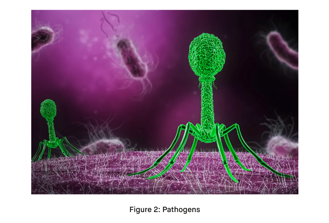 What are the Pathogens of Respiratory Tract Infections