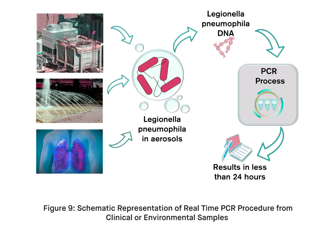 Real Time PCR Procedure