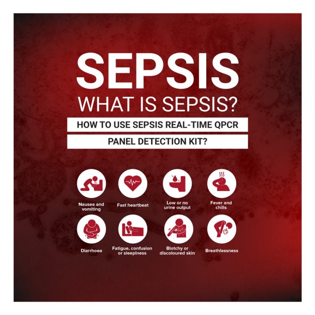 What is Sepsis How to Use Sepsis Real Time qPCR Panel Detection Kit