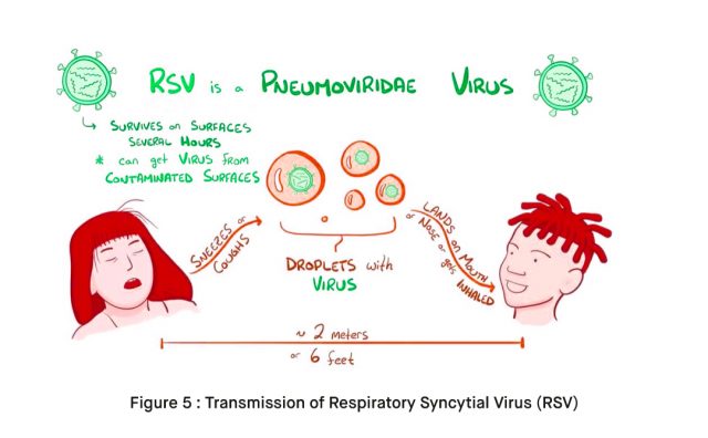 How is Respiratory Syncytial Virus RSV Transmitted