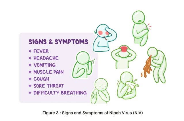 Signs and Symptoms of Nipah Virus NiV