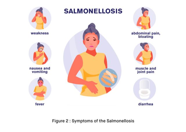 What Are the Symptoms of the Salmonellosis