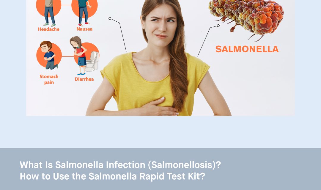 What is Salmonella Infection (Salmonellosis)? How to Use the Salmonella Rapid Test Kit?