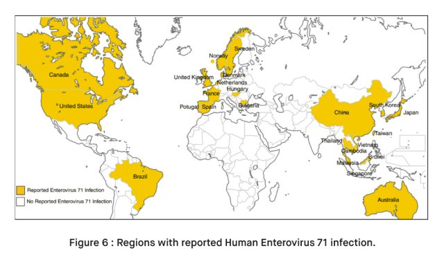 Prevalence of EV71 Infections