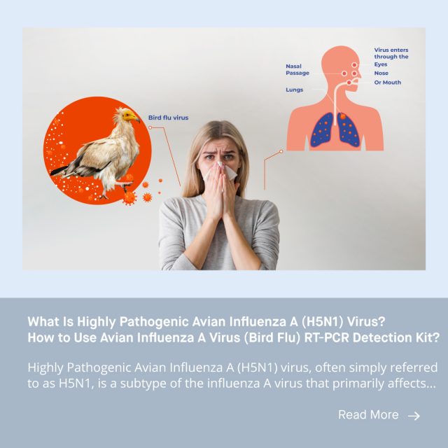 What Is Highly Pathogenic Avian Influenza A (H5N1) Virus? How to Use ...