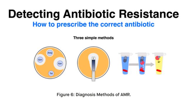 Diagnosis Methods of AMR.