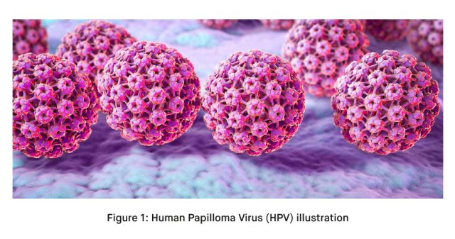 Human Papilloma Virus HPV illustration