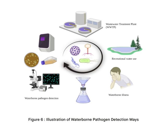 Illustration of Waterborne Pathogen Detection Ways