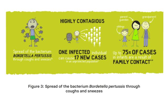 Spread of the bacterium Bordetella pertussis through coughs and sneezes