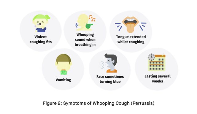 Symptoms of Whooping Cough Pertussis