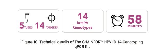 Technical details of The CHAINFOR™ HPV ID 14 Genotyping qPCR Kit 1