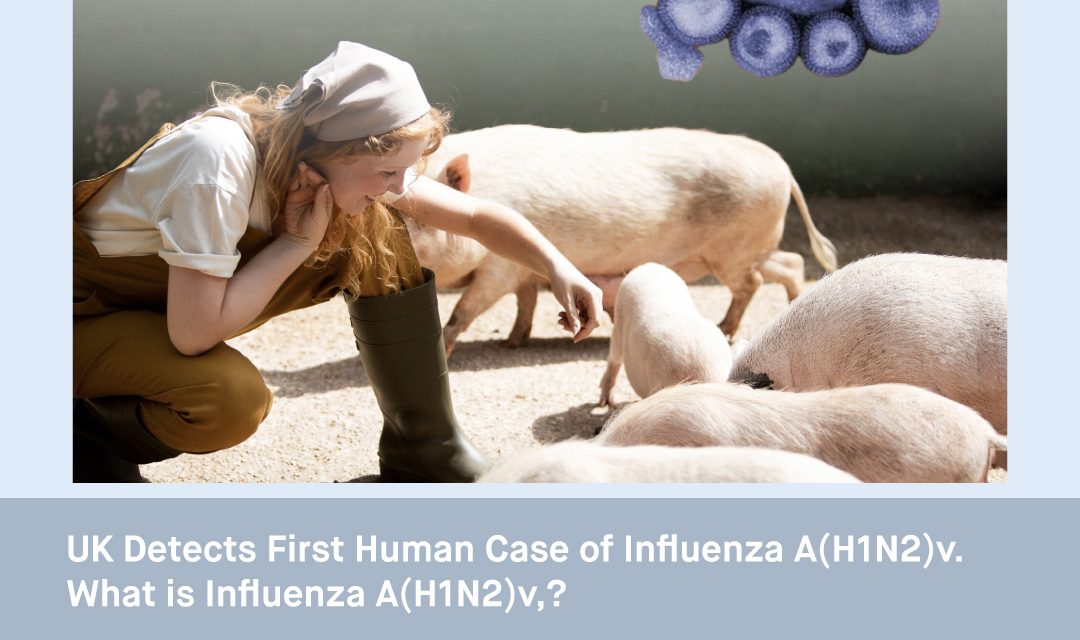 UK Detects First Human Case of Influenza A(H1N2)v. What is Influenza A(H1N2)v, a Variant of Swine Flu Virus?