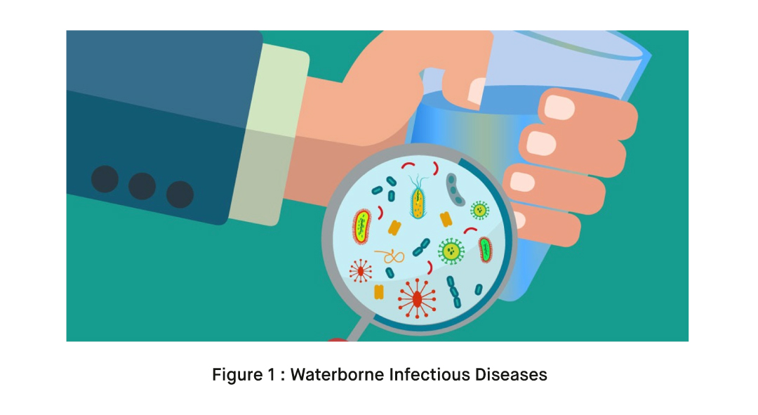Waterborne Pathogens Examples What are Waterborne Infectious Diseases? How to Use Cryptosporidium ...