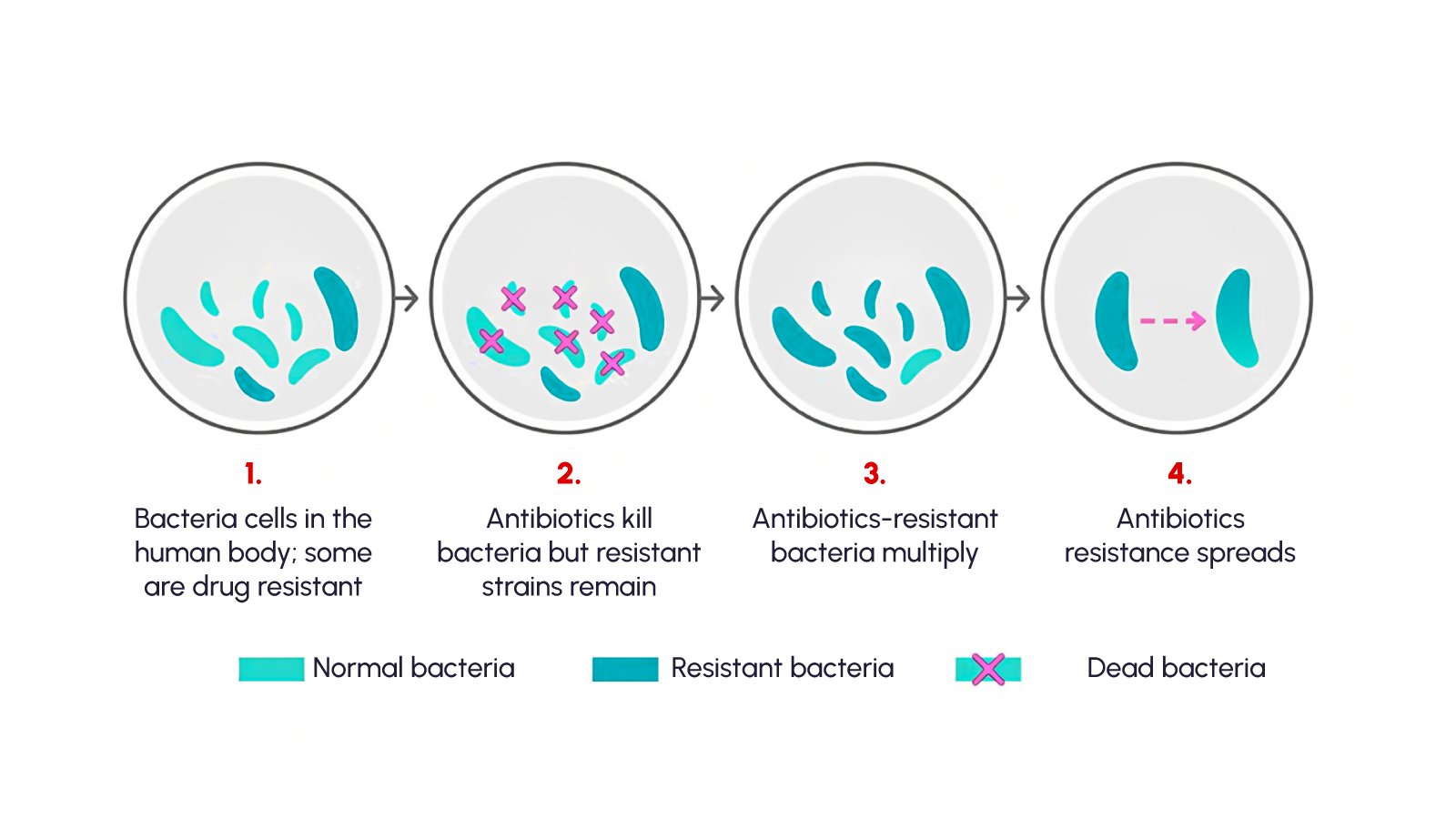 Figure 1: How antimicrobial resistance occurs 