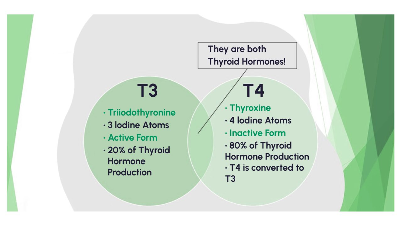 T4 Testing January Thyroid Awareness: Vitrosens’ 6 Essential Test Kits for ...