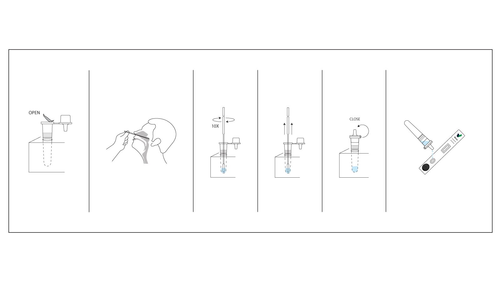 Rethinking the Common Cold: Rapid Rhinovirus Testing for Smarter Primary Care 2 Figure 2. Workflow of the RapidFor™ Rhinovirus Test Kit.