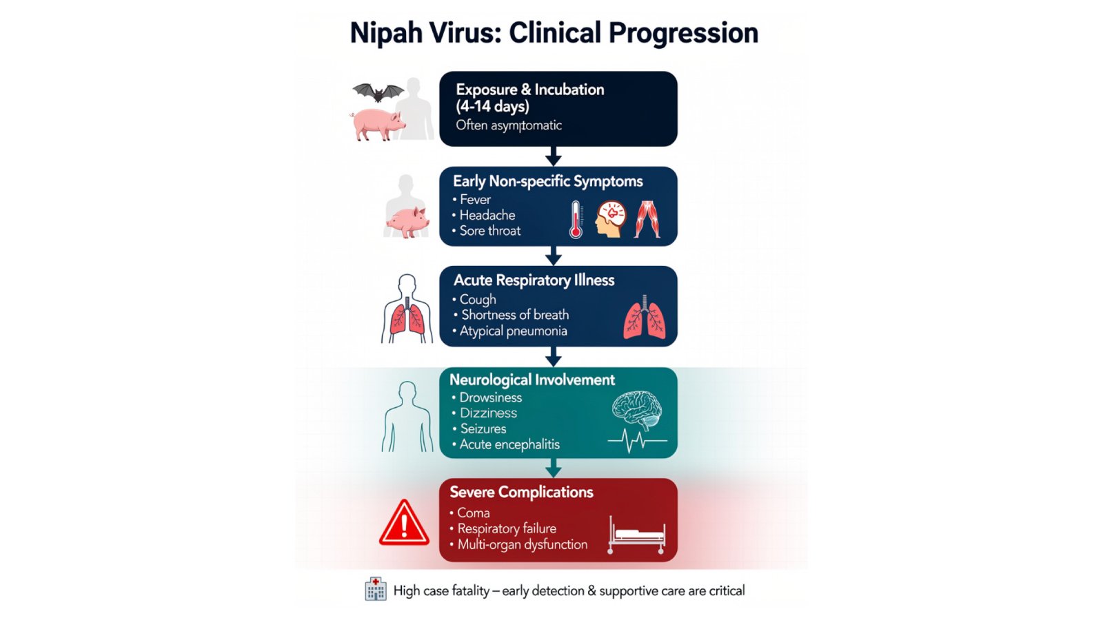 The Nipah Virus Threat in India: Understanding the Outbreak and the Critical Role of ChainFor us Nipah PCR Kit 3 Figure 3. Clinical progression flowchart showing Nipah virus symptoms from initial infection through severe complications
