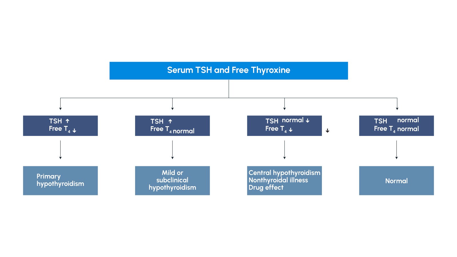 Comprehensive Thyroid Function Testing: The RapidFor TSH/T3/T4 Combo FIA Test Kit 2 Figure 2: Chart showing TSH response patterns in different thyroid conditions