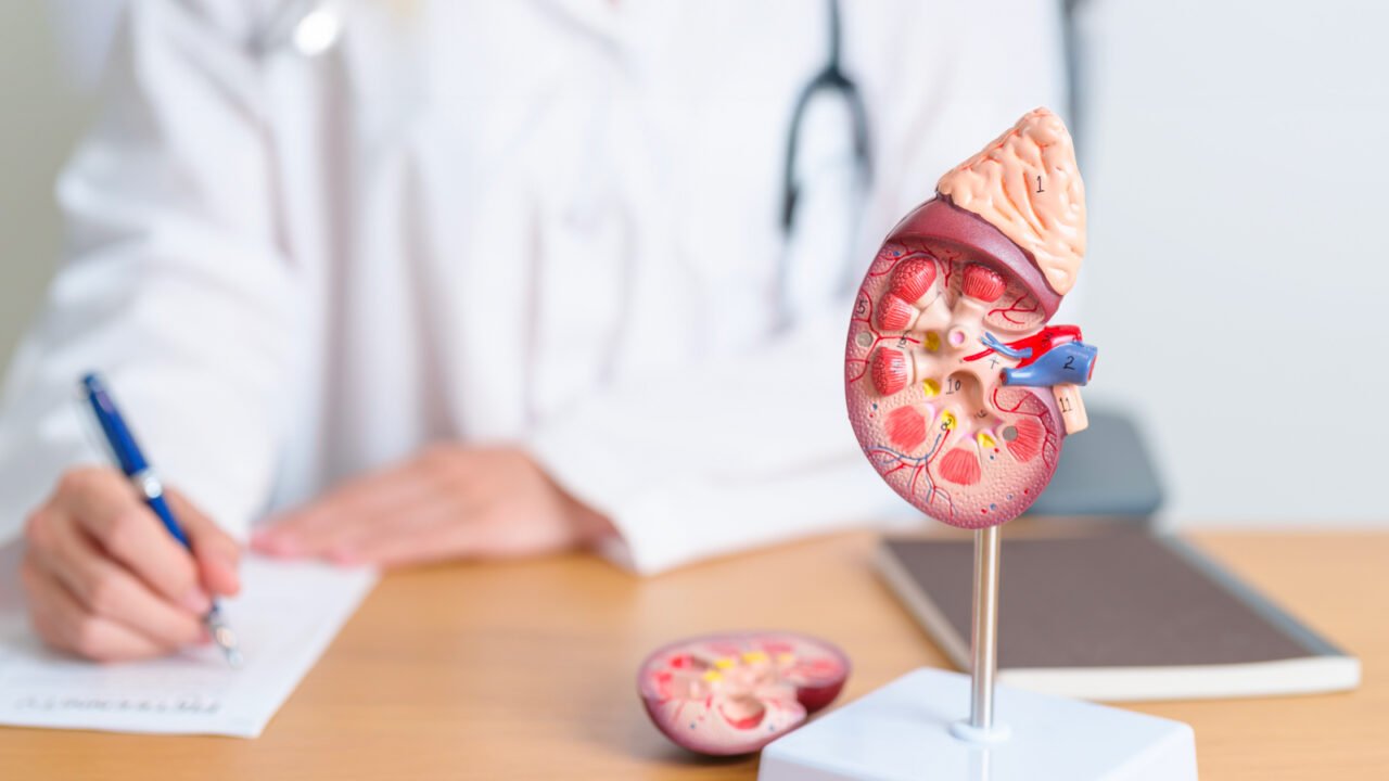 NGAL Testing for Early Kidney Injury Detection: A Breakthrough in Renal Diagnostics