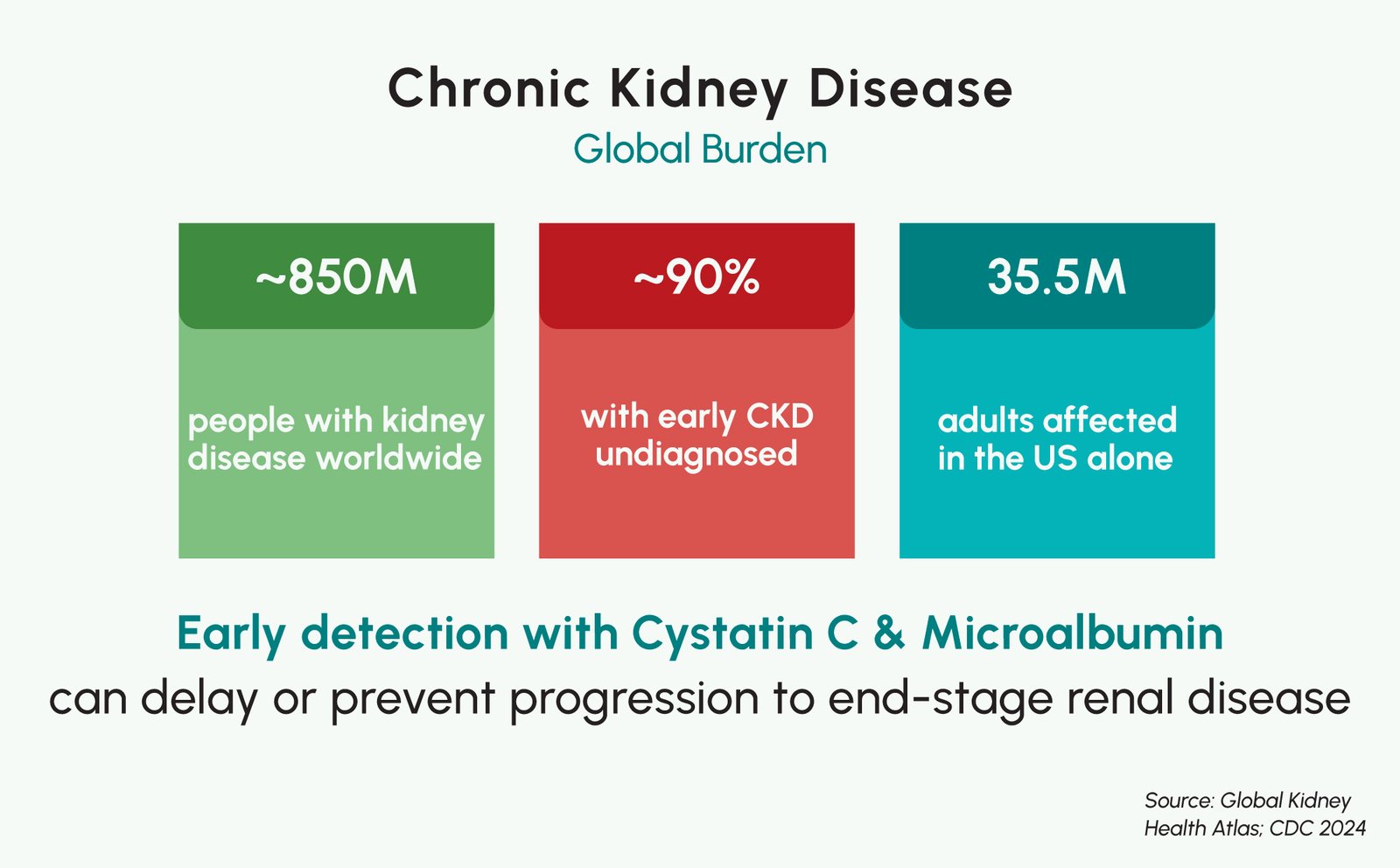 Figure 1: Key global statistics, approximately 850 million people with kidney disease worldwide, many early-stage CKD patients undiagnosed, and 35.5 million adults affected in the United States.