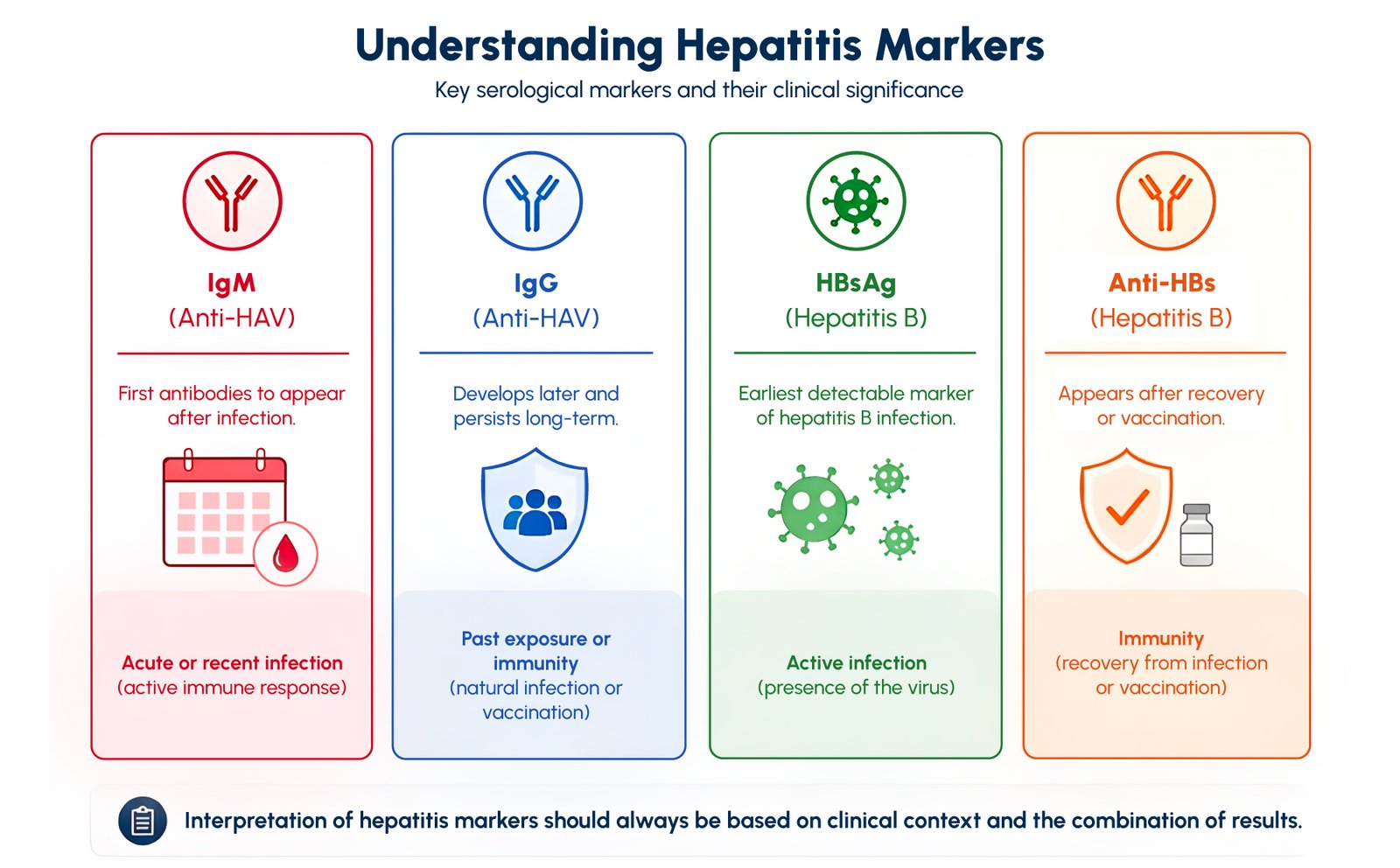 Figure 1: Key hepatitis serological markers, IgM, IgG, HBsAg, and Anti-HBs, and their clinical significance regarding infection status and immunity.